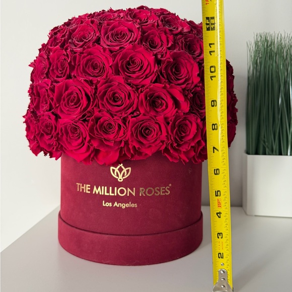 SUPREME BORDEAUX SUEDE SUPERDOME BOX | BURGUNDY ROSES - Picture 4 of 5
